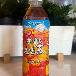 Barley Tea