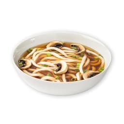 Udon Noodle Soup