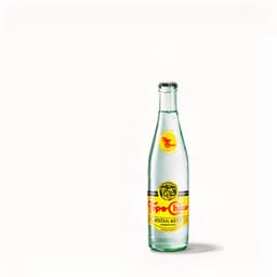 Topo Chico Mineral Water